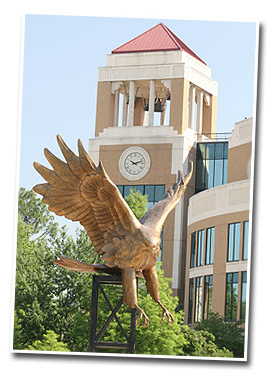 photo of hawk statue in front of bell tower