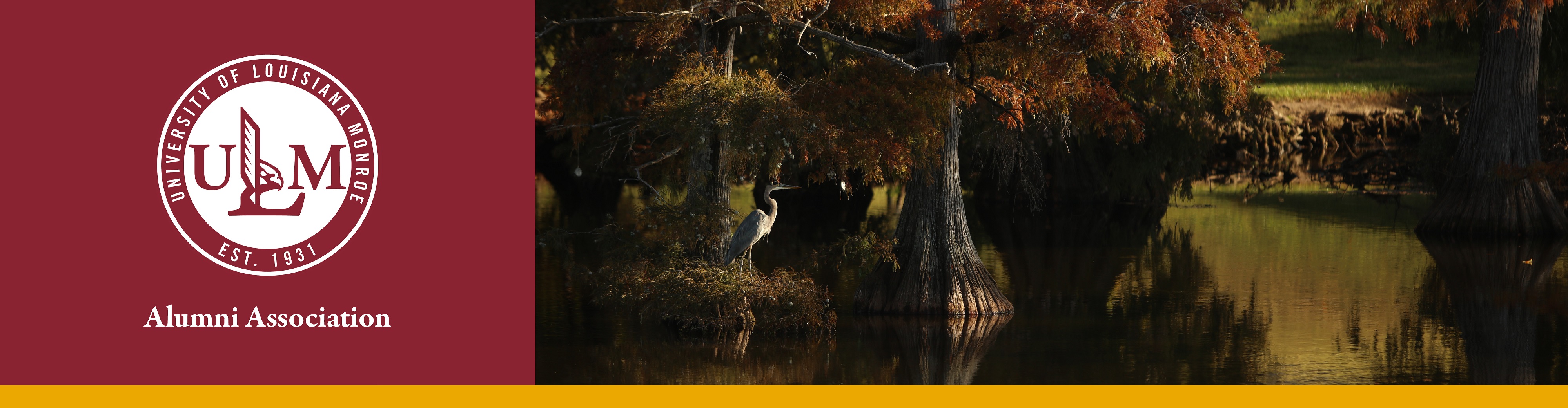 The ULM Alumni Association logo with an image of a heron on a cypress tree over a bayou.