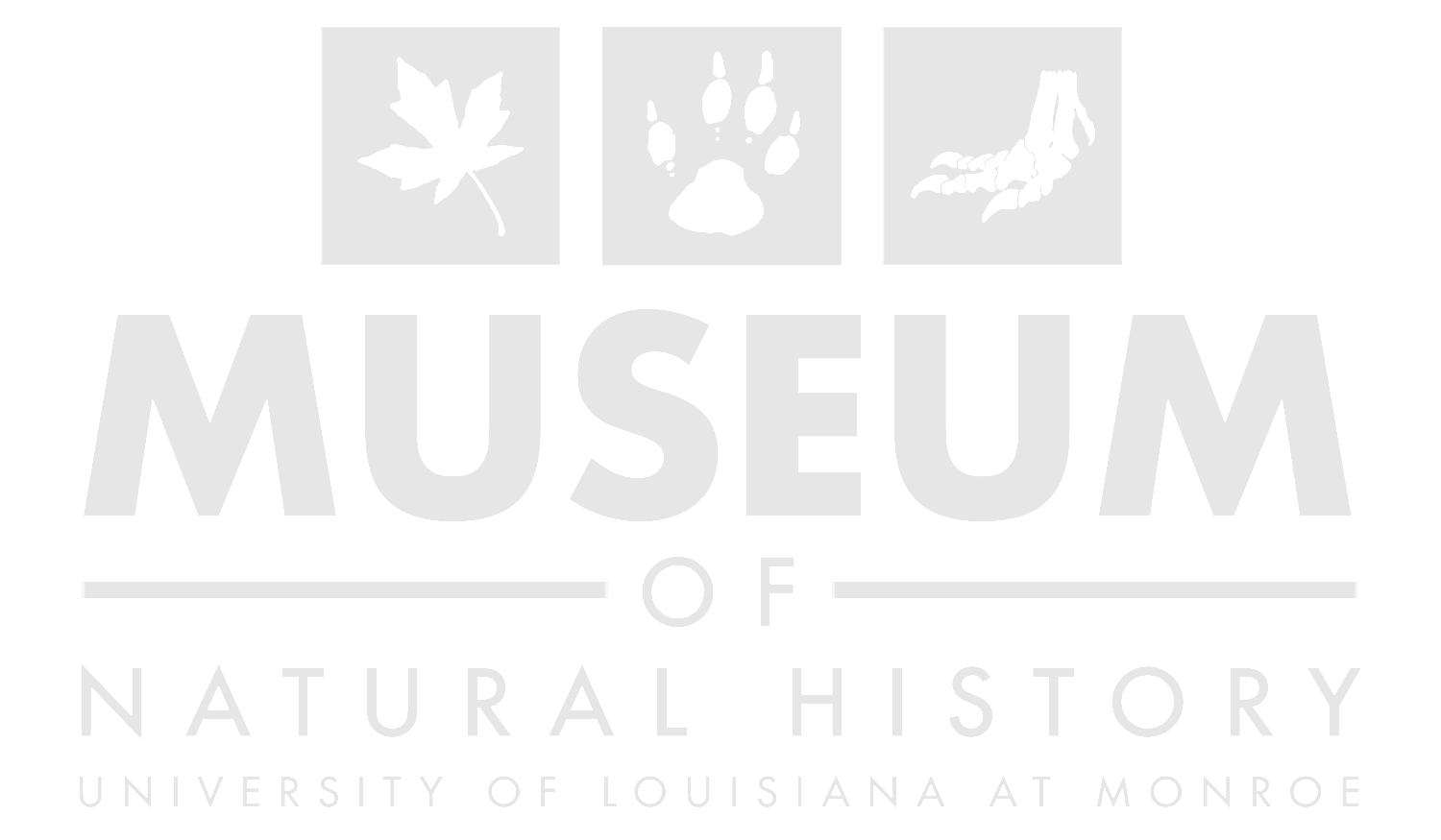 museum logo graphic