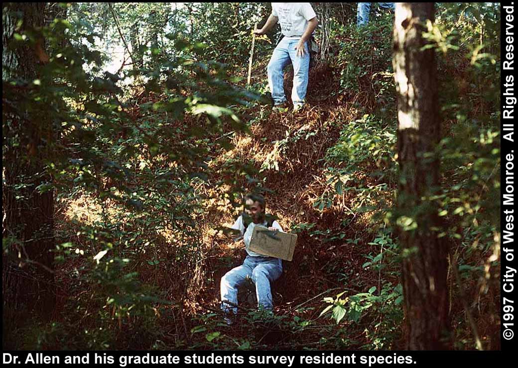 Photo: Surveying plants