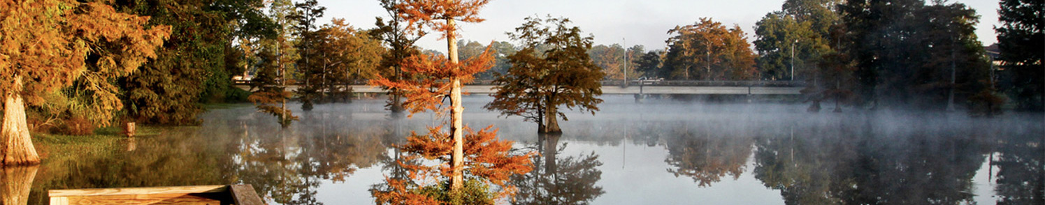 Fall scene of Bayou Desiard on the ULM campus