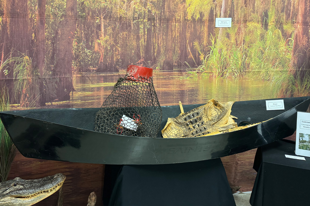 A natural history museum exhibit featuring a small boat, an alligator, and photo of bald cypress trees. 