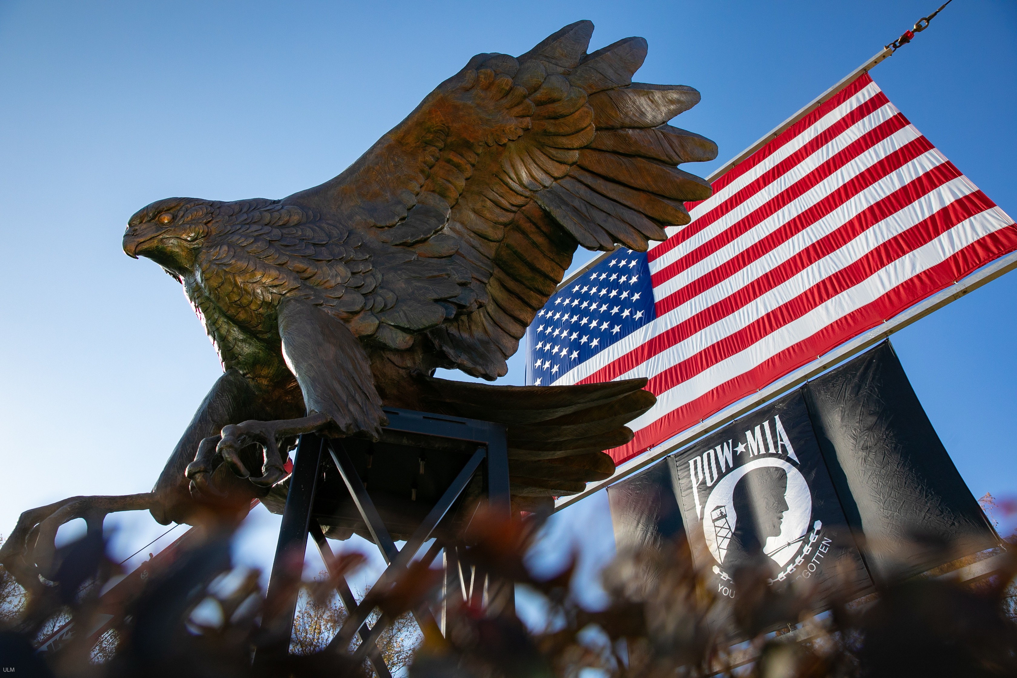 Warhawk Statue American Flag