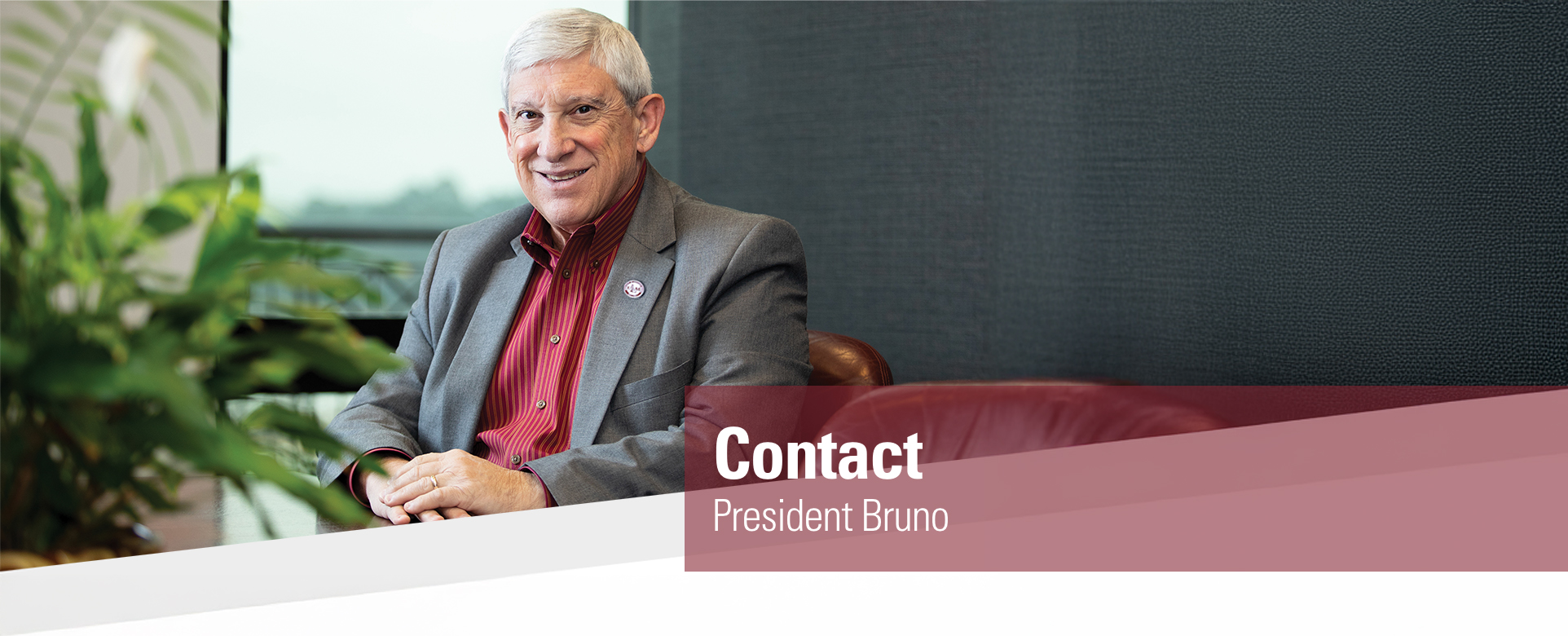 Contact President Bruno