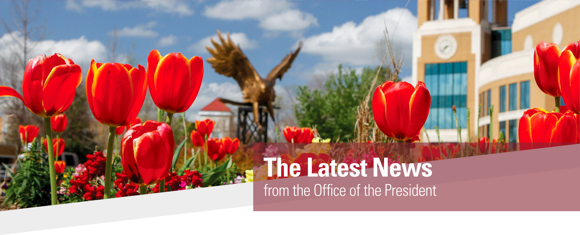 The Latest News from the Office of the President