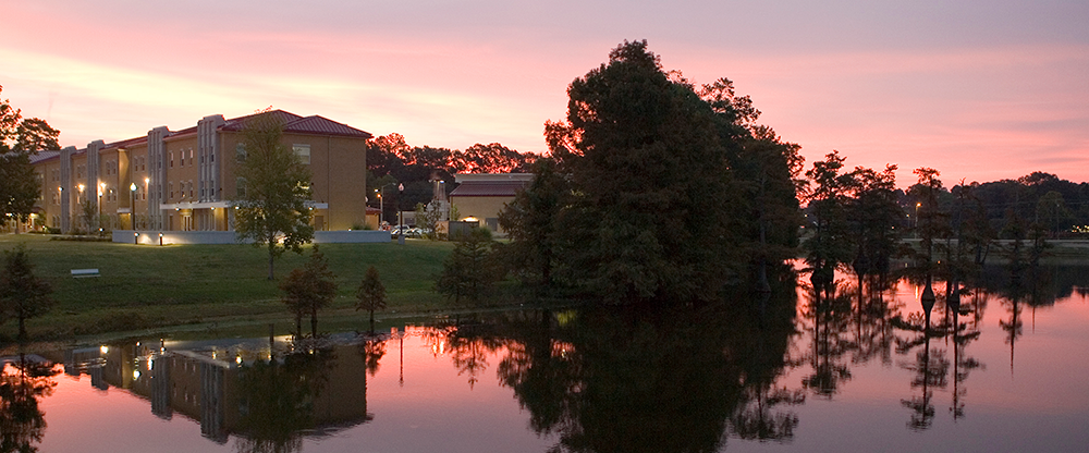 Bayou at sunset