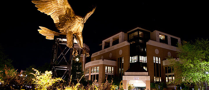 night photo of library and hawk statue