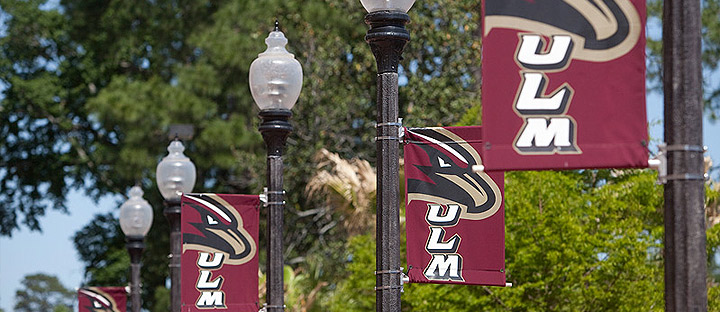 photo of light poles with ULM banners