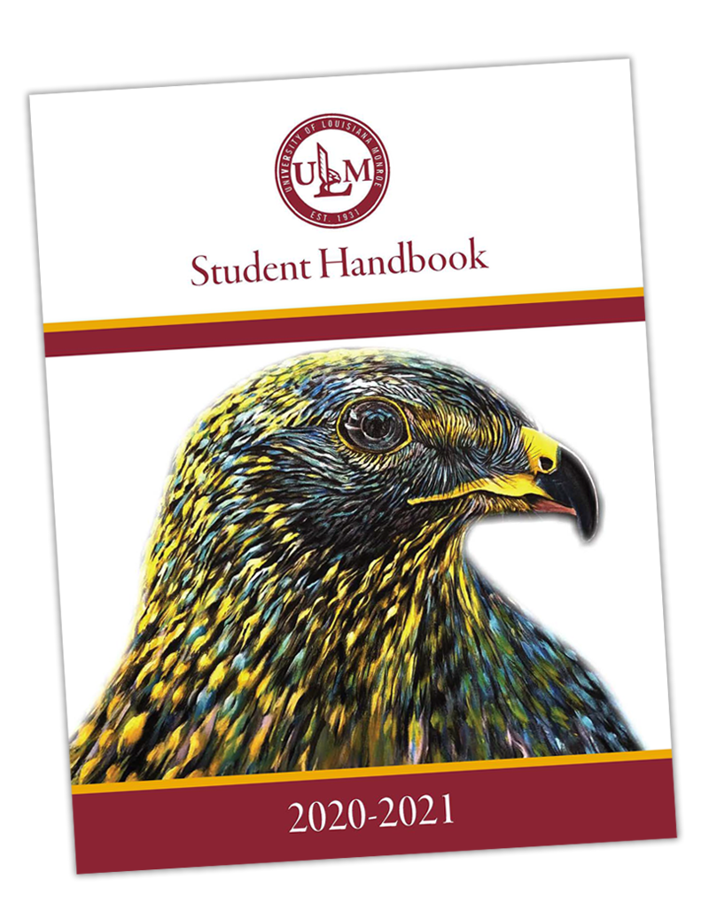 graphic of student handbook cover