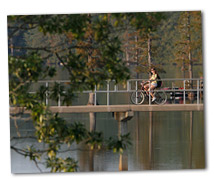 bicyclist on bridge over bayou