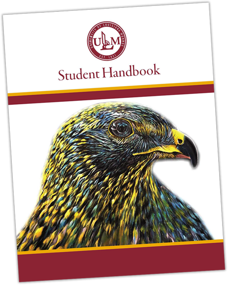 cover of handbook